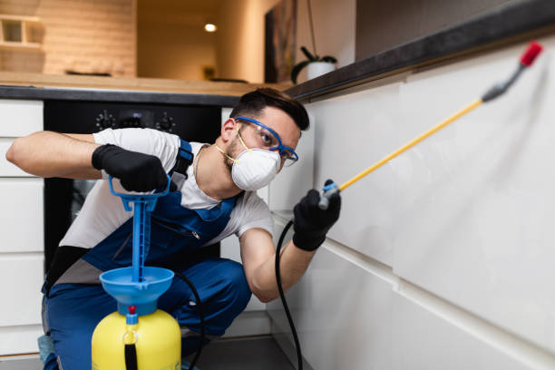 Best Bed Bug Extermination  in Russell, KY