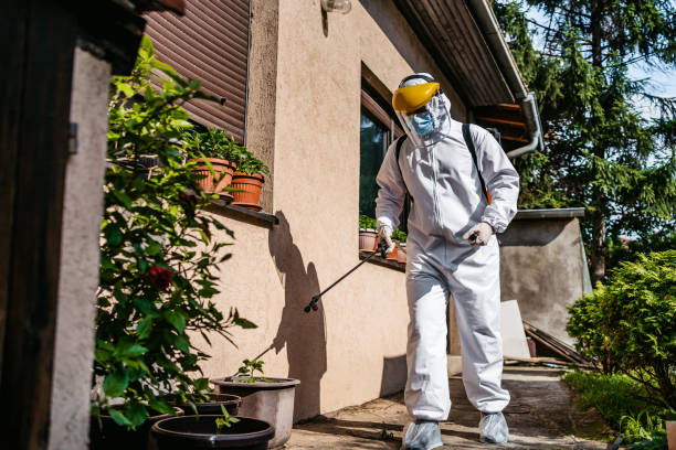 Wasp Removal Services in Russell, KY