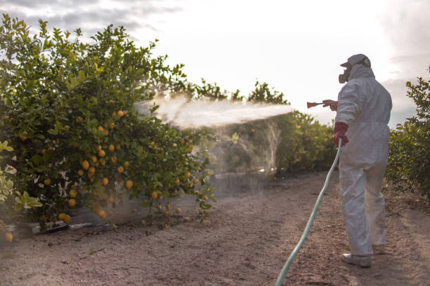 Best Pest Inspection Near Me  in Russell, KY