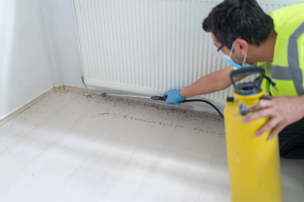 Best Best Pest Control Companies  in Russell, KY